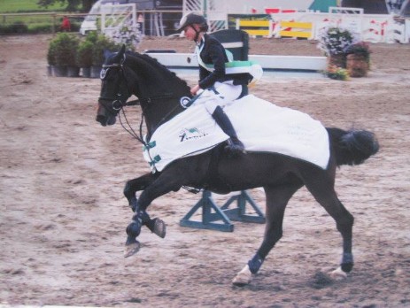 Olympia VI v. Linaro x Caletto I x Landlord